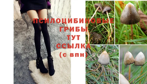 крисы Богданович