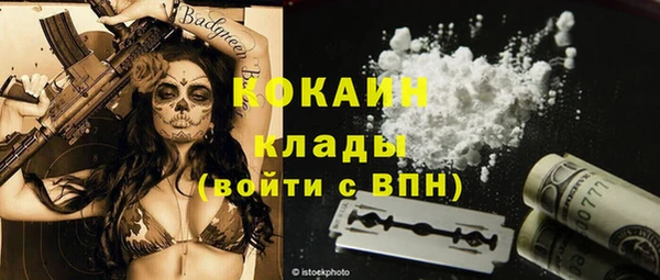 крисы Богданович